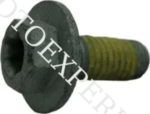 HH collar screw M6x15 TX30, 3, nordicamoto.ro