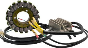 Lithium-ion Charging Kit, 1, nordicamoto.ro