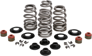 Valve Spring Kit, 1, nordicamoto.ro