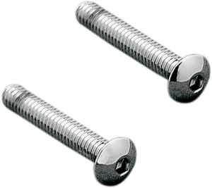 Taillight Lens Screw Kit Silver