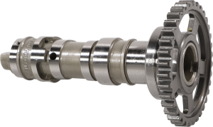 Intake/exhaust Camshaft