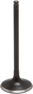 Black Diamond Engine Valve