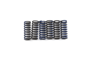Clutch Spring Kit Black