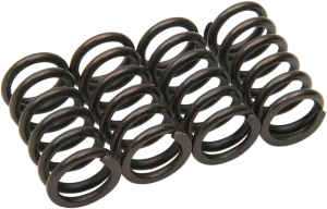 Clutch Spring Kit Black
