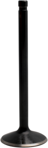 Nitrided Valve