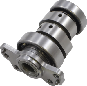 Cam Raptor 700 Stg 2