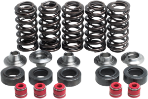 Valve Spring Kit, 1, nordicamoto.ro