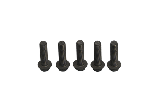 Brake Rotor Bolt Set Silver, Stainless Steel