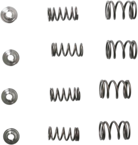 Valve Spring Kit