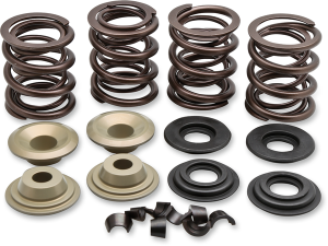 Complete Valve Spring Kit