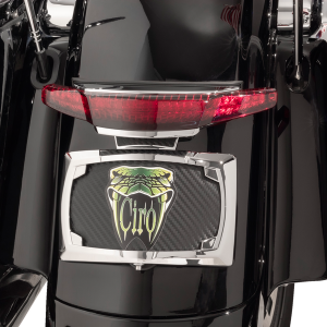 Taillight And License Plate Mount Chrome, 2, nordicamoto.ro