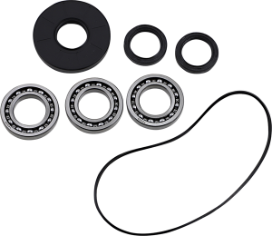 Differential Bearing/seal Kit