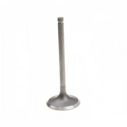 EXHAUST VALVE 24 MM 02, 1, nordicamoto.ro