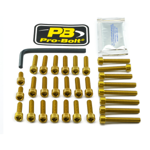 Bolt Kit Gold, 1, nordicamoto.ro