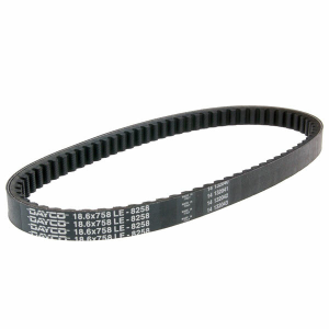 Drive Belt Black