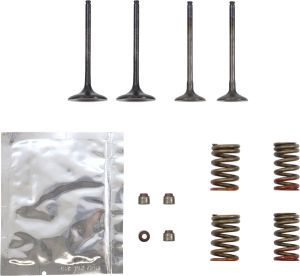 Valve Kit