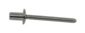 Rivet Stainless Steel 