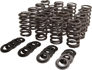 Beehive Valve Spring Kit, 1, nordicamoto.ro