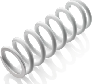 Shock absorber spring
