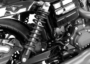 Revo Dyna Coil Suspension Black, Anodized, 3, nordicamoto.ro