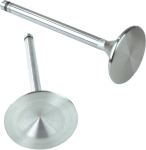 Replacement Stainless Steel Valves