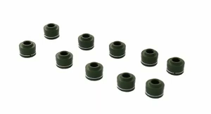Engine Oil Seal 