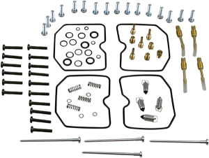 Set de reparație pentru carburator, 1, nordicamoto.ro