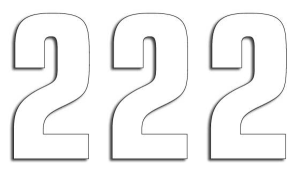 Two Series Numbers White, 2, nordicamoto.ro