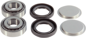 Swingarm Repair Kit