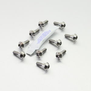 Brake Rotor Mounting Bolt Kit Silver, Unfinished, 2, nordicamoto.ro