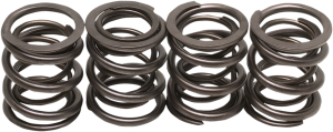Valve Spring Kit, 2, nordicamoto.ro