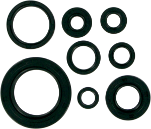 Oil Seals