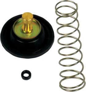 Carburetor Air Cut-off Valve Set