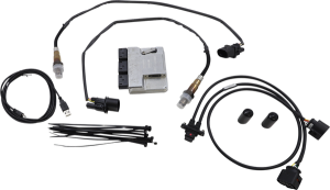 Ecm With Integral Auto Tune System Kit, 2, nordicamoto.ro