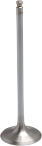 White Diamond Engine Valve