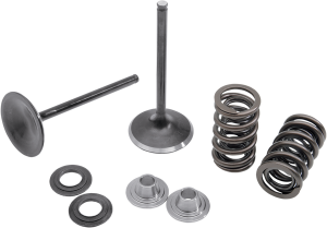 Stainless Steel Conversion Valve And Spring Kit