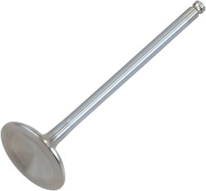 White Diamond Engine Valve