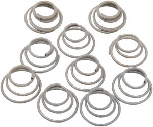 Hub Bearing Plate Retainer Springs, 1, nordicamoto.ro