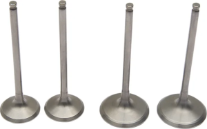 Pro Valve Kit 