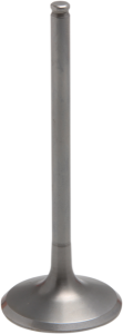 Tensilite® Engine Valve