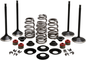Engine Kit, 1, nordicamoto.ro