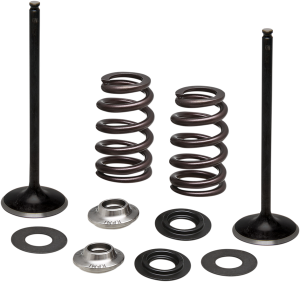 Stainless Steel Conversion Valve And Spring Kit
