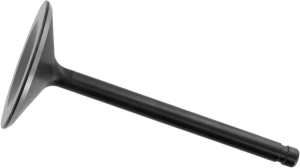 Nitrided Valve