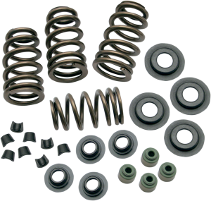Sidewinder® .650(r) Valve Spring Kit