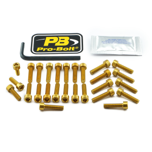 Bolt Kit Gold