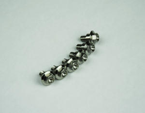 Titanium Screws Unfinished