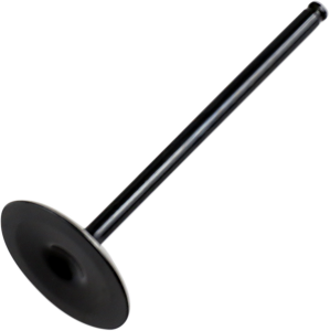 Replacement Valve Black