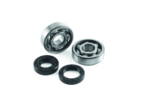 Crank Bearing & Seal Kit