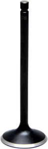 Black Diamond Engine Valve