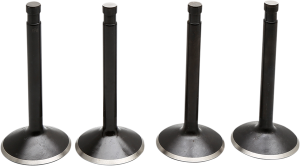 Engine Valve Kit